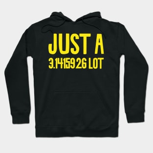 Funny pilot pun Hoodie